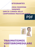 Traumatismo Vertebro Medular