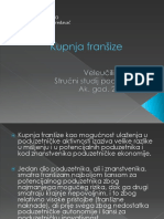 Kupnja Franšize PDF