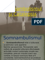 Somnambolismul Şi Catalepsia