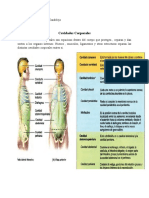 Cavidades Corporales 1