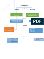 Mapa Conceptual 