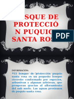 Bosque de Protección Puquio- Santa Rosa