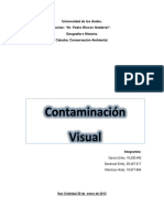 Ejemplo de Dossier Contaminación Visual