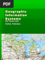 Geographic Information System (GIS)