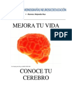 Cerebro Triuno PDF
