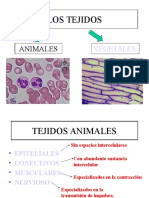 Tejidos Animales y Vegetales