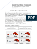Resumen Conductismo