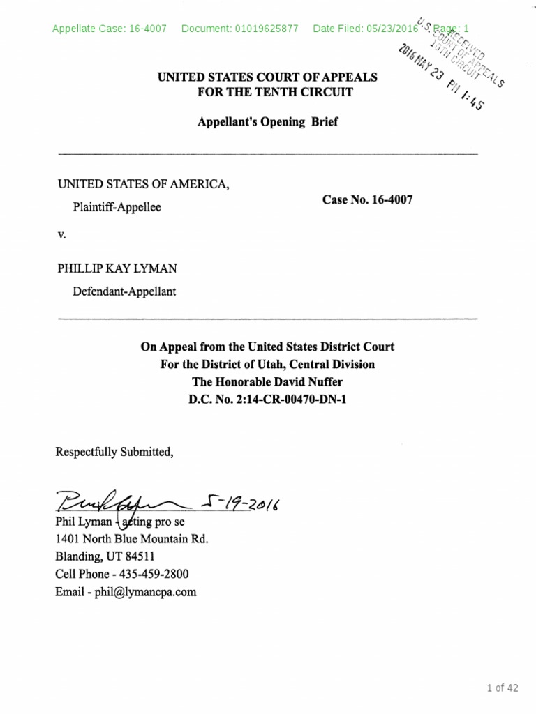 Appellant's Opening Brief Lyman Case Wisconsin Circuit Courts Appeal