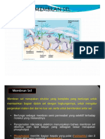 Microsoft Powerpoint - Membran Dan Transport Sel