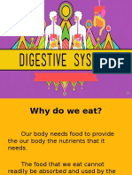 Digestive System