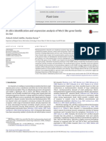 In Silico Identification and Expression Analysis of MSCS Like Gene Family in Rice