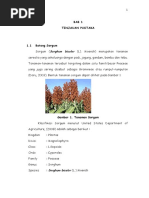 Download Batang Sorgum by Lienha Imoed SN314061120 doc pdf