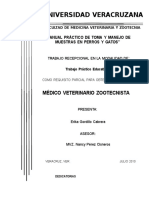 manualpracticodetomademuestraencaninosyfelinos1-140922191013-phpapp02