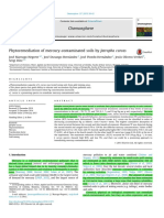 Articulo 1 fitorremediacion grupo 7 (1).pdf