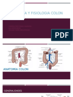 Anatomia y Fisiologia Colon