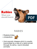 Rabies
