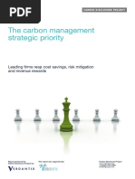 Carbon Management Policies CDM