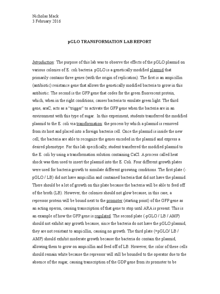 Pglo Transformation Lab Report Transformation Genetics Operon
