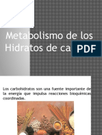 Metabolismo de Los Hidratos de Carbono
