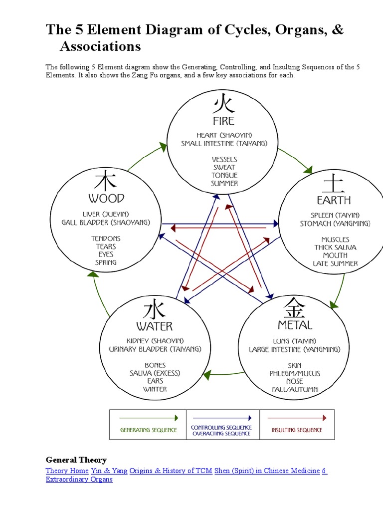 5 Elements: Cycles and Organ Associations | PDF | Wellness