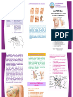 triptico drenaje linfatico mama .pdf
