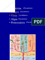 Fungos_virus Hermes Microbiologia maio 2013.ppt