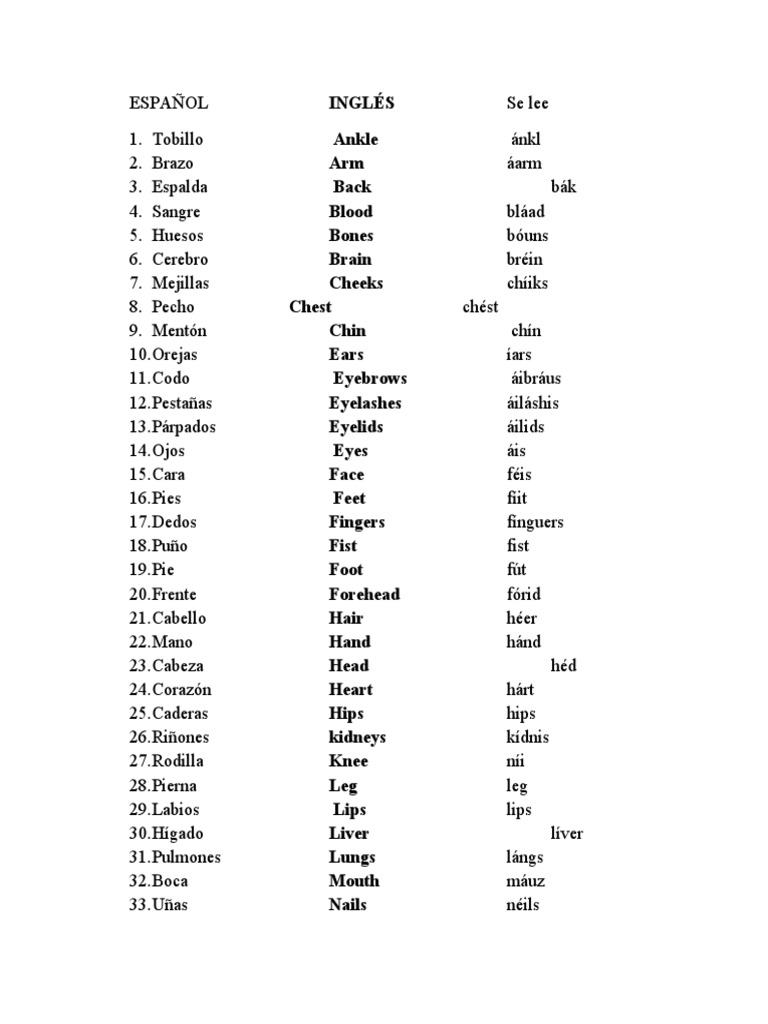 5 Partes Del Cuerpo En Ingles Y Espanol Partes Del Cuerpo En Ingles