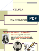 La Celula - Lloja