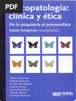 Schejtman Psicopatologia