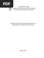 Análisis Crítico de Las Garantías Procesales y Las Alternativas de La Prosecución Del Proceso
