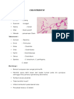 Idk Case 1 - Chlostridium (Elga)