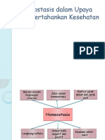 PBL blok 3 homeostasis