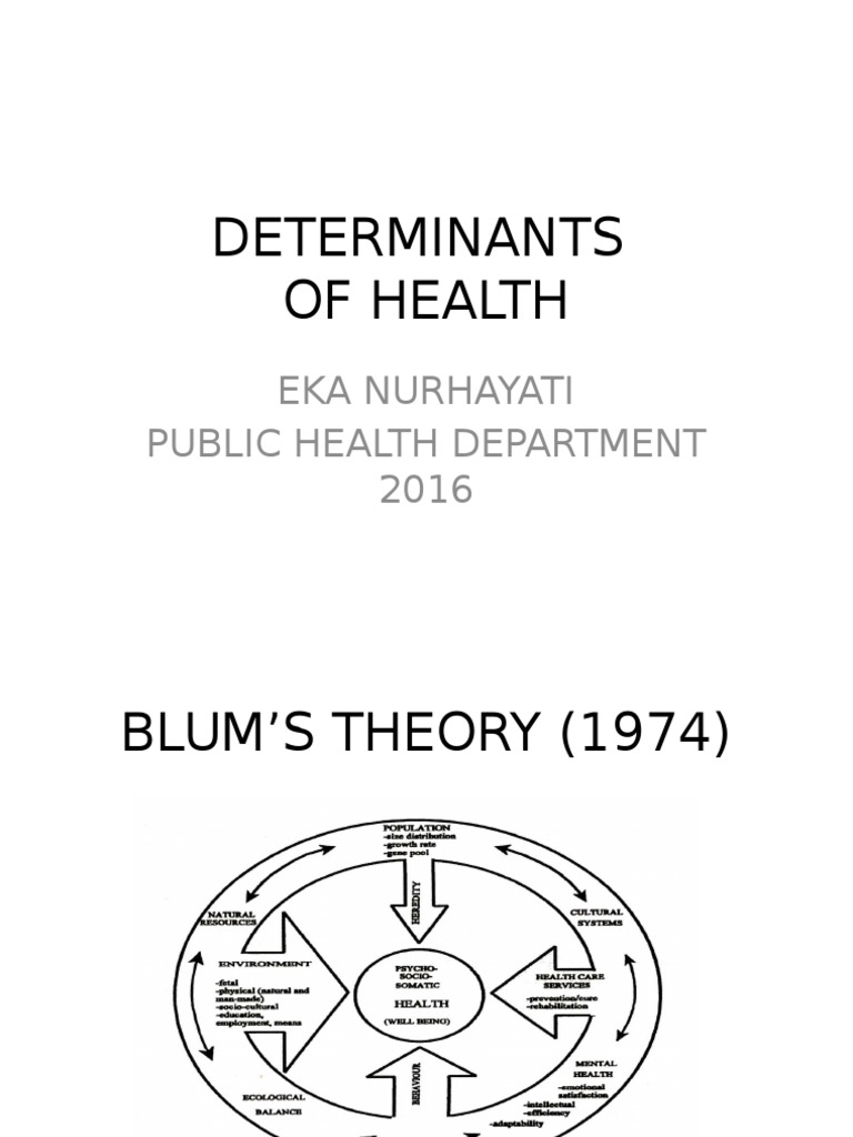 Blum's Model of Health Determinants | PDF | Preventive Healthcare ...