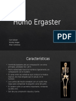 Homo Ergaster
