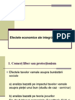 Tema 10 - Efecte Economice Ale Integrarii Europene PDF