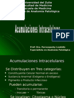 Acumulaciones Intracelulares