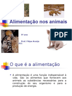 Alimentação Nos Animais