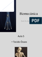 Biomecânica - Aula 5