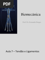 Biomecânica - Aula 7