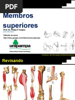 Aula 10 - Membros Superiores