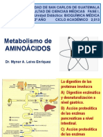 Metabolismo de Aminoacidos 1