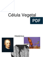 Célula Vegetal 1