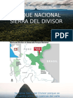 Parque Nacional Sierra Del Divisor PERU