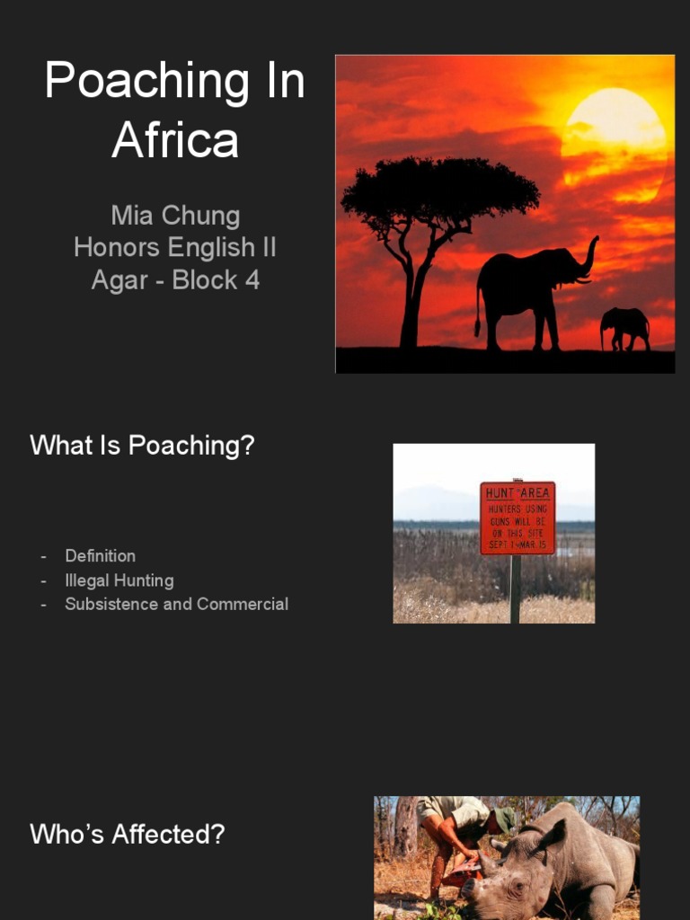 Poaching Presentation | PDF | Social Science | Travel