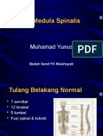 Trauma Medula Spinalis