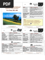 Sony RX-100 Personal Settings A4 v1.0