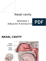 Nasal Cavity: Kelompok 1 Aditya-Ani R-Annisa D-Desy W