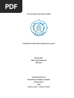 Download Tugas Makalah Pasca Panen by Hannura Hosea SN314231476 doc pdf