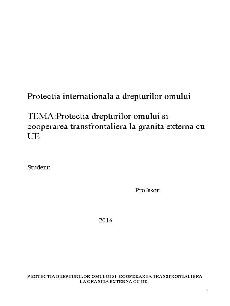 Protectia Internationala A Drepturilor Omului