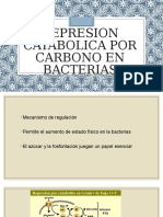 Represion Catabolica Por Carbono en Bacterias